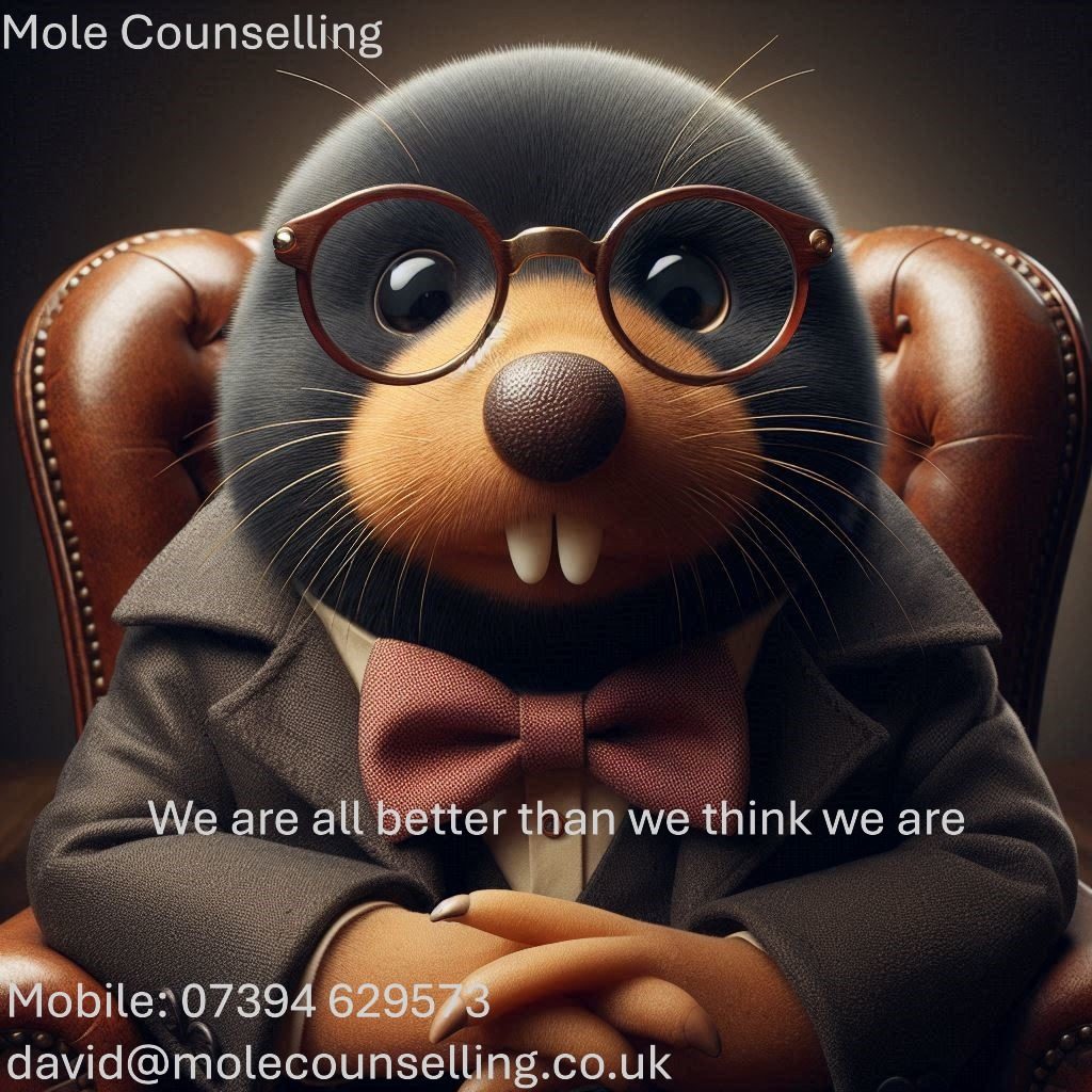 david@molecounselling.co.uk